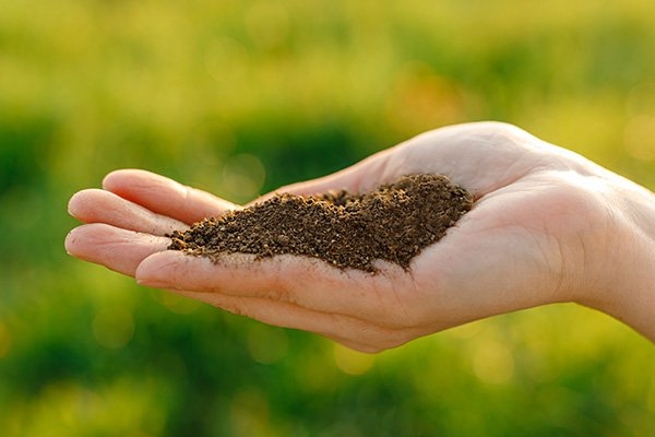 Fertilizantes